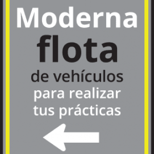 cartel flota de vehiculos