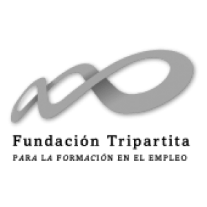 autoescuela basurto fundación tripartita